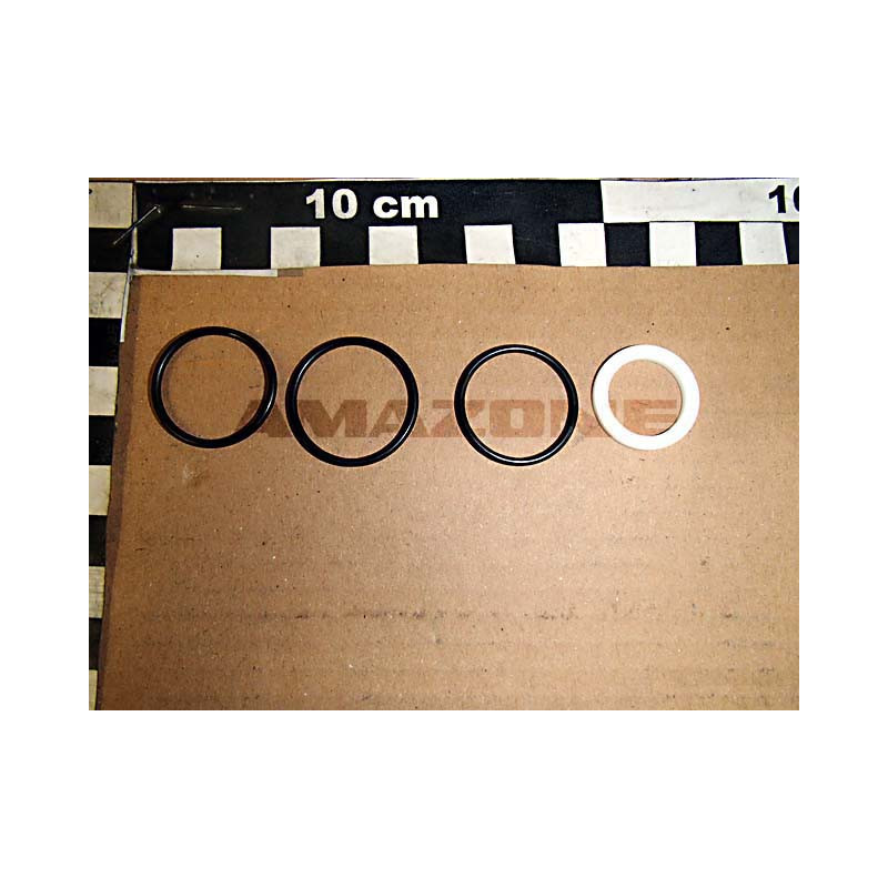 Dichtsatz für Y1005504 / Y1005495 / Y1018412 Y1018151, Amazone