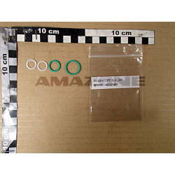 Dichtsatz für Y1005380 Y1017017, Amazone