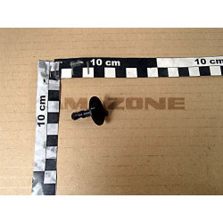 Verschluß Y2175110, Amazone