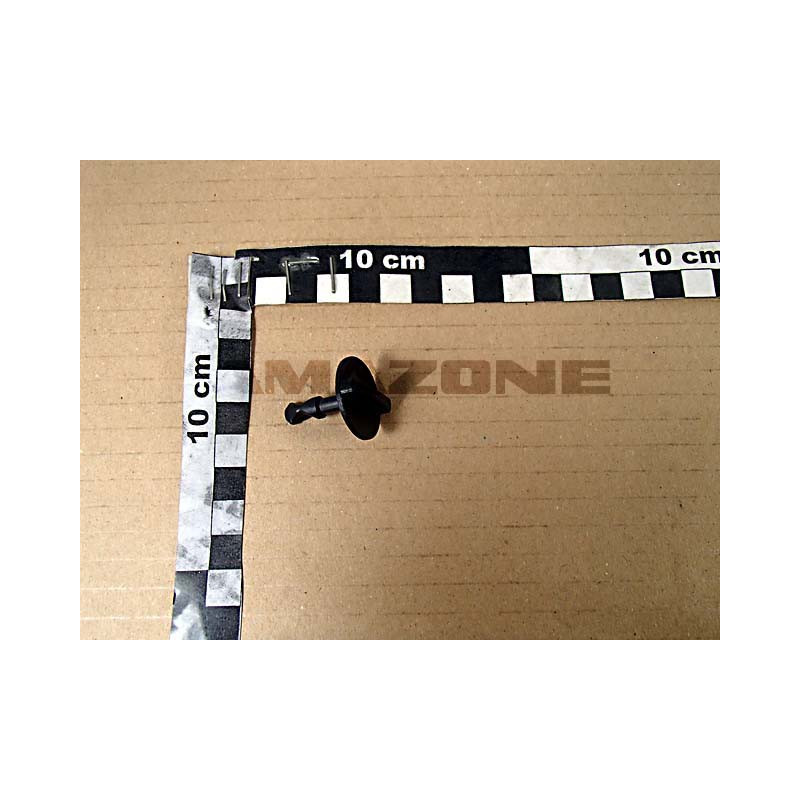 Verschluß Y2175110, Amazone