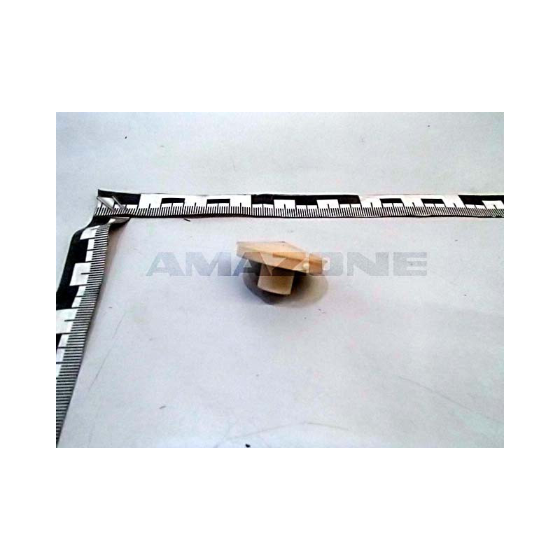 DICHTUNG 934913, Amazone