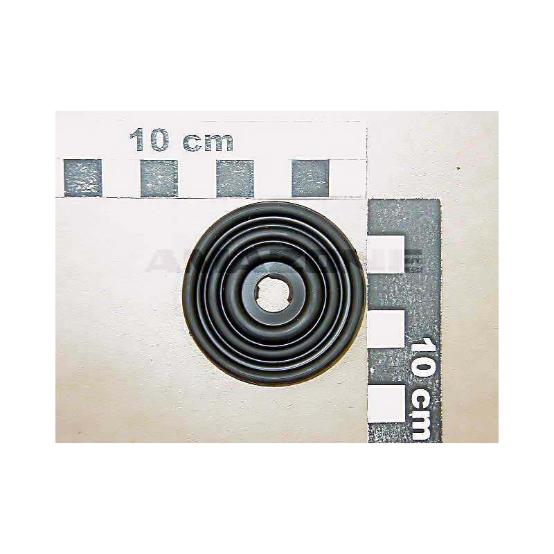 MEMBRANE 103687588, Amazone