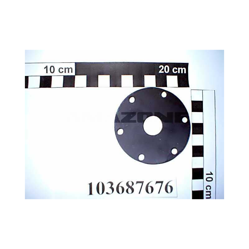 MEMBRANE 103687676, Amazone