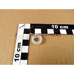 RING 123973397, Amazone