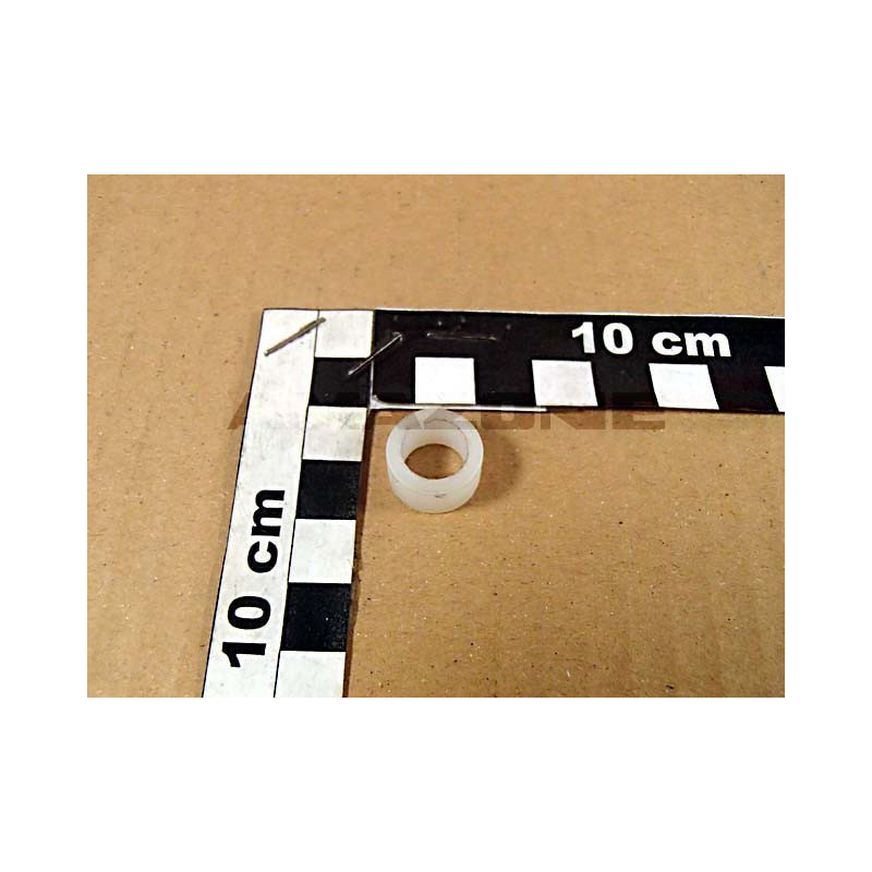 RING 123973397, Amazone