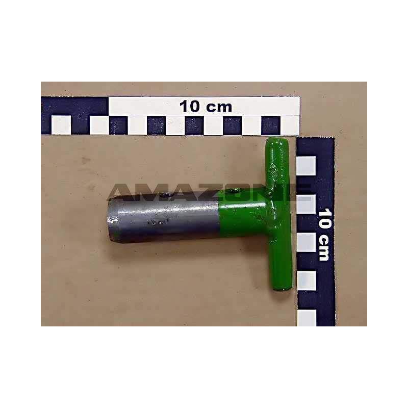 STECKBOLZEN,GESCHW **(02) 123997484, Amazone