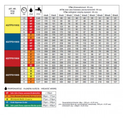 2TFS ASJ ARAG double-jet atomizer