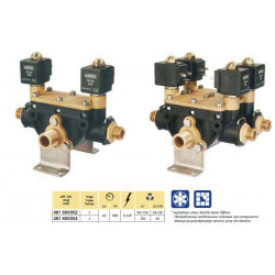 2Rozdzielacz elektromagnetyczny 2-sekcje - sadowniczy ARAG