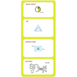 2CVI 80° ALBUZ Ejektor-Sprühgerät