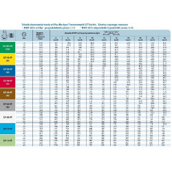2TEEJET SJ7 7-Loch-Streuer für RSM