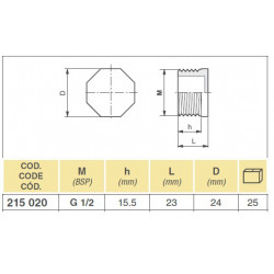 2Blanking plug 1/2&quot;M, ARAG