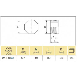 2Verschlussstopfen 1&quot;M, ARAG