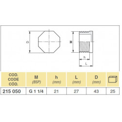2Blanking plug 1 1/4&quot;M, ARAG