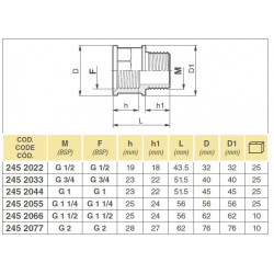 23/4&quot; MF-Anschluss, 2452033 Arag