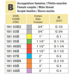 2CAMLOCK 1 1/4"F/GEWINDE 1 1/4"M