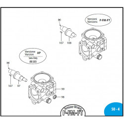 2Teile für die Annovi Reverberi AR202/252 Pumpe
