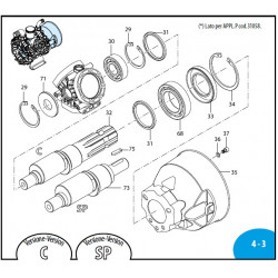 2Teile für die Annovi Reverberi AR 45 Pumpe