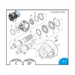 2Piston fi 54 AR45BP/AR45LFP 3120070 Annovi Reverberi