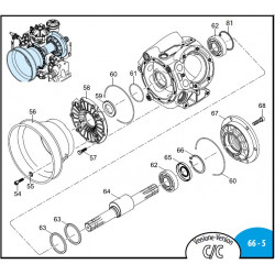 2Annovi Reverberi AR903/1053/1203 Pumpenteile
