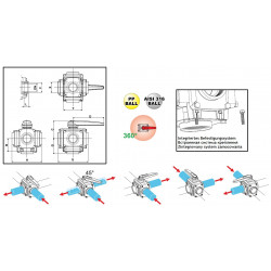 24-Wege-Kugelhahn 1 1/4&quot;F 453, ARAG