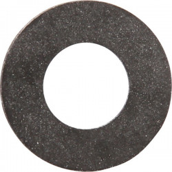 Pump Washer P72 Rau Amazone RG00033682, Kverneland Rau