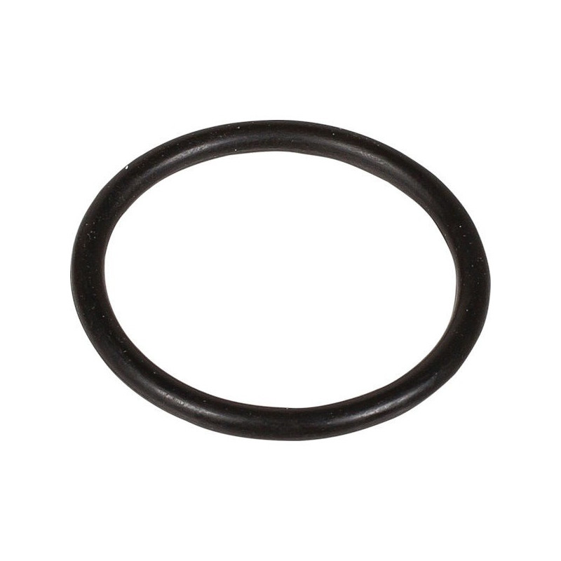 ANELLO ODER 3,0x30 PUMPE 105-120 SD 803219102 BERTOLINI