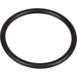 2ANELLO ODER 2,62x29,82 PUMPE 105-120 SD 803207002 BERTOLINI