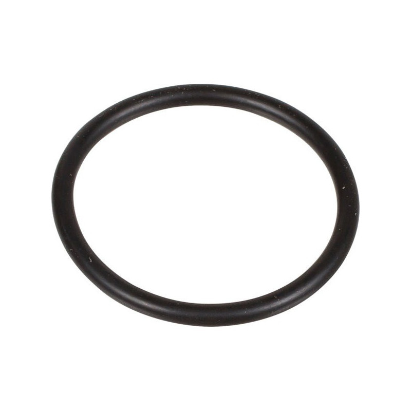 ANELLO ODER 2,62x29,82 PUMPE 105-120 SD 803207002 BERTOLINI