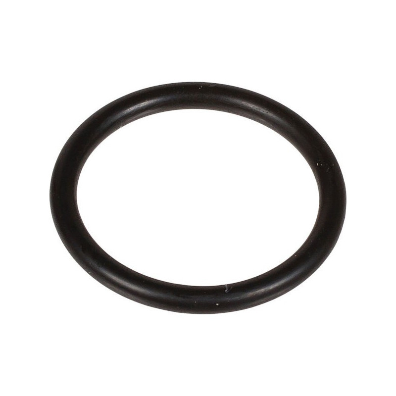 ANELLO ODER 3,0x25 160 SD 803219002 BERTOLINI