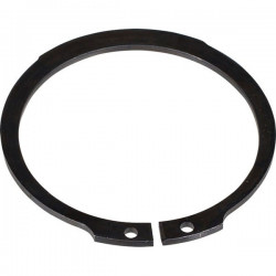 ANELLO D.55 PRO ALBERO VM 1100 SB 801377002 BERTOLINI