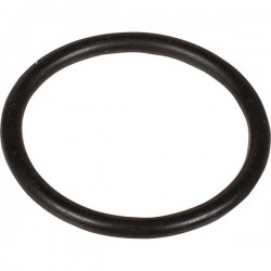 ANELLO ODER 3,0x30 1100 SB 803219102 BERTOLINI