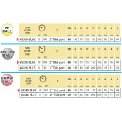 25-Wege-Kugelhahn 2&quot; - Flanschanschluss 453, ARAG
