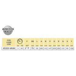 2Zawór kulowy 5-drożny 3"F 453, ARAG