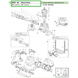 NON-Throughshaft 1”3/8 M BP 105 K - BP 125 K 00010382 Comet