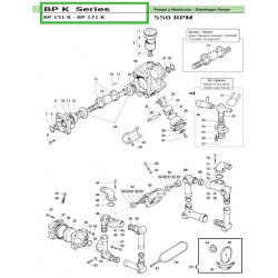 2Suct./Deliv. Valve Seat  BP 151 K - BP 171 K 30090022 Comet