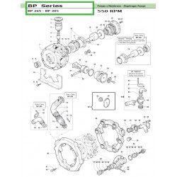 2Suction/Delivery Valve Seat  BP 265 30090125 Comet