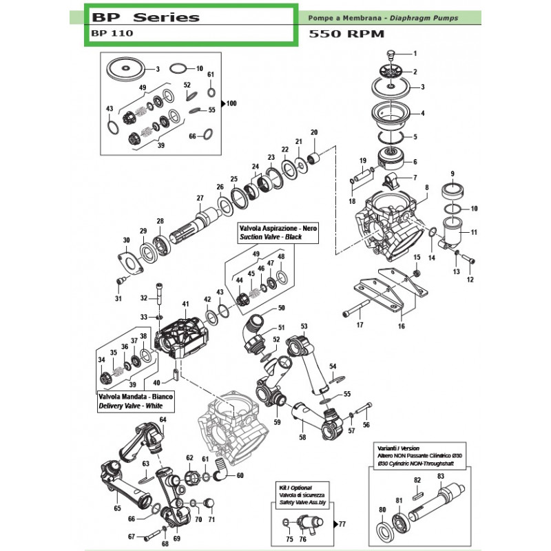 Delivery Valve  BP 110 36040009 Comet