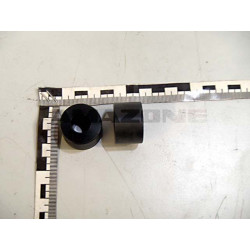 Abstandsbuche 939854, Amazone