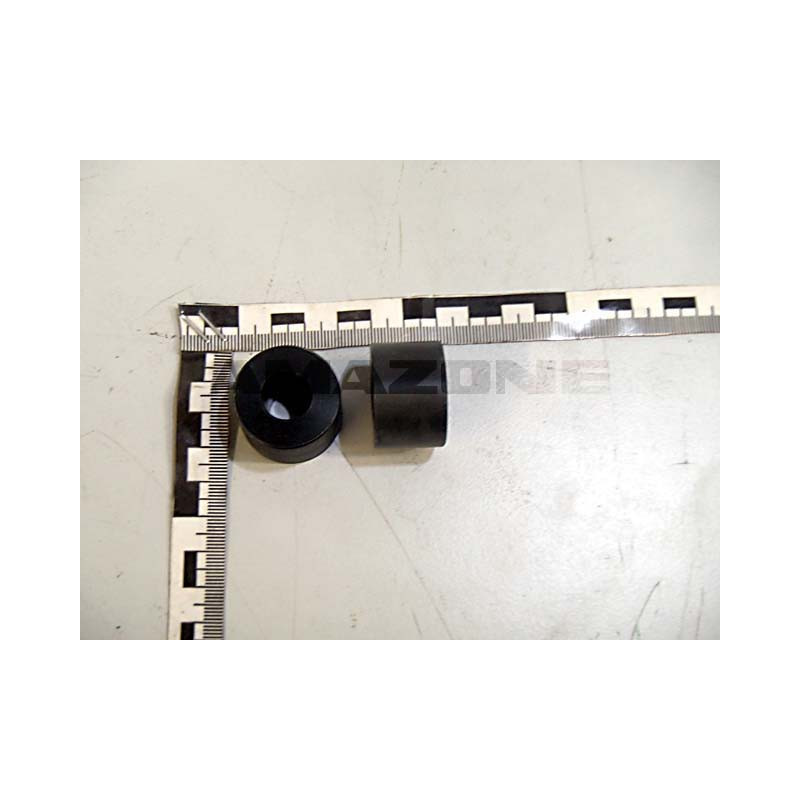 Abstandsbuche 939854, Amazone