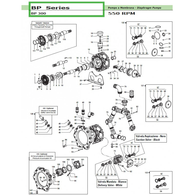 Safety valve kit  BP 300 12190054 Comet