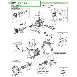 2Allgemeines Wartungskit (NBR) Gomma Nitrilica Buna Rubber BP 330HS 50260360 Comet