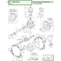 Elbow Suction Coupling Ø25 - 1”1/2 P 36 28010090 Comet