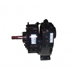 2PC700 AA55PF2 Zahnradkreiselpumpe - Blanchard, Kuhn