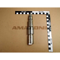 WELLE KURZ 938579, Amazone