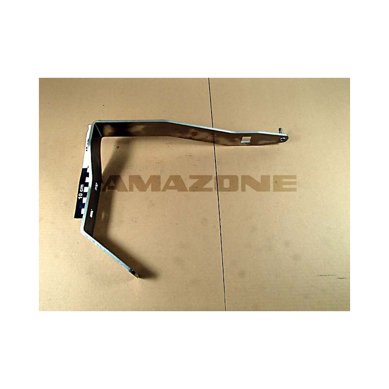 BUEGEL 946024, Amazone