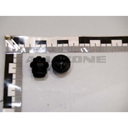 2Kapstoschraub. 730 R1/4Zoll ID034