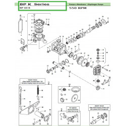 2Suction/Delivery Valve  BP 60 K 36040057 Comet