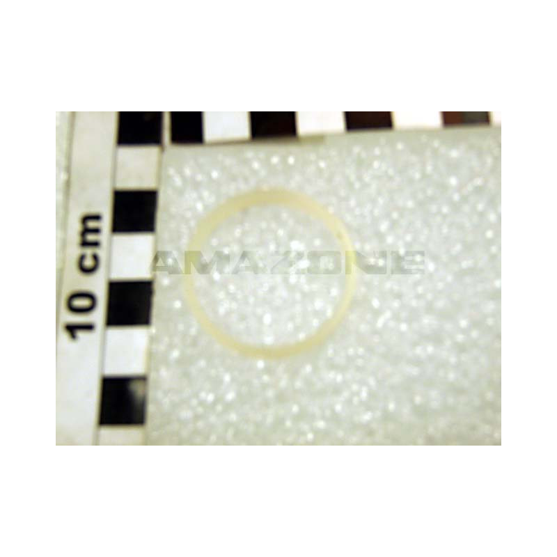 Ring 32.1/35.9X4.2 Y0331090010, Amazone