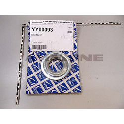 Dichtsatz YY00093, Amazone