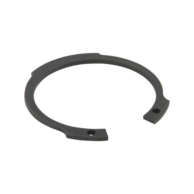 RING DIA.52 PUMPE IDB 1600 - 1800 801369002 BERTOLINI